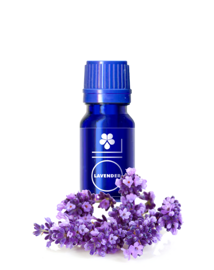 Lavender essential oil (Lavandula angustifolia) 500ml