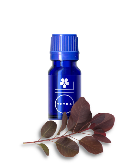 Sumac essential oil (Cotinus coggygria) 30ml